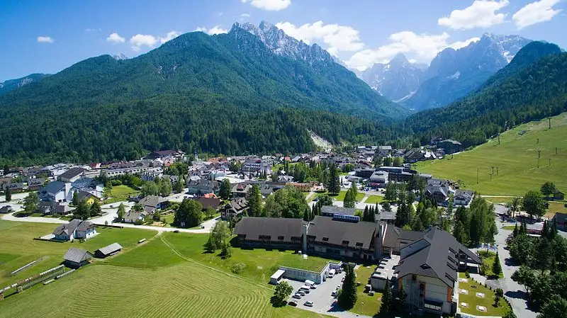 image1 (1)